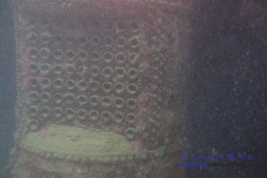 코론 - Olympia Maru