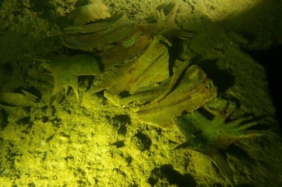 코론 - Olikawa Maru