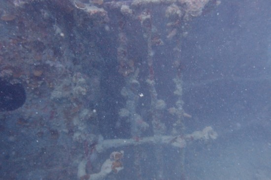 코론 - Marazan Maru