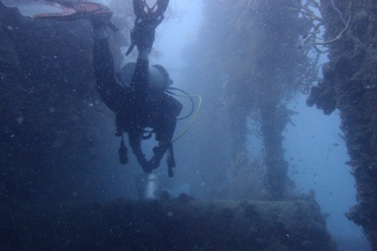 코론 - Marazan Maru