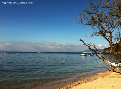 난파선 바다생물 - Philippines Mindoro Is. Sabang Beach - 난파선(인공)