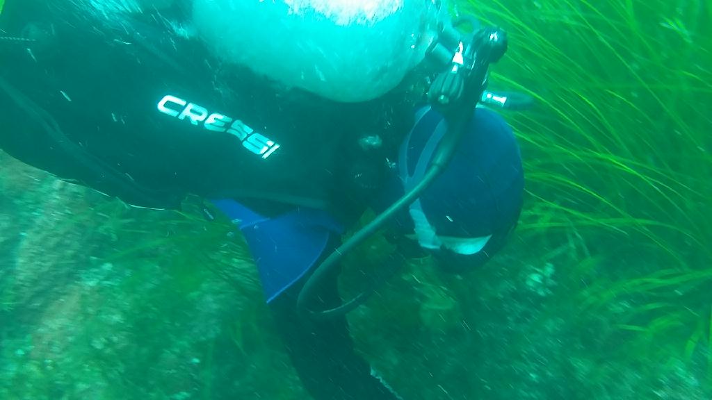 개방수역 - 한스쿠바 리조트 