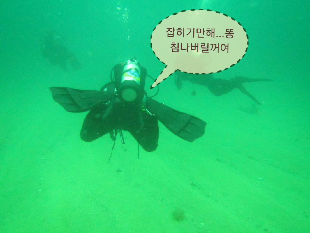 동해 OK다이빙리조트 - 인공어초 16M 