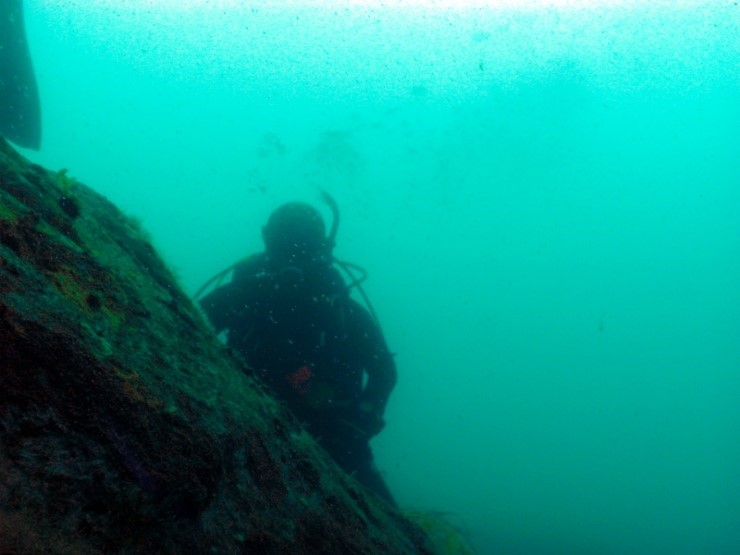 Fun Diving - Yangyang Kangwondo, South Korea - Achi