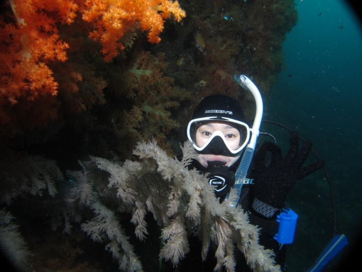 Fun Diving - Jeju island, South Korea - Moon Island