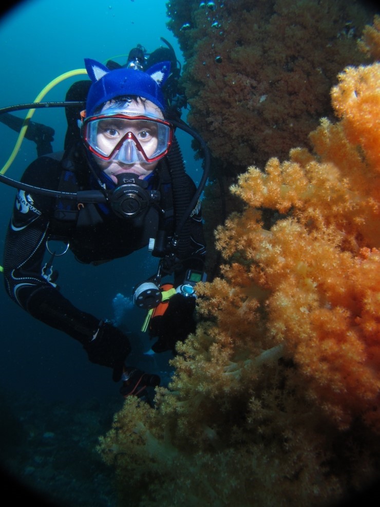 Fun Diving - Jeju island, South Korea - Moon Island