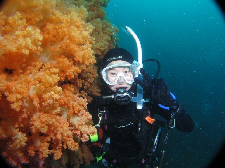 Fun Diving - Jeju island, South Korea - Moon Island