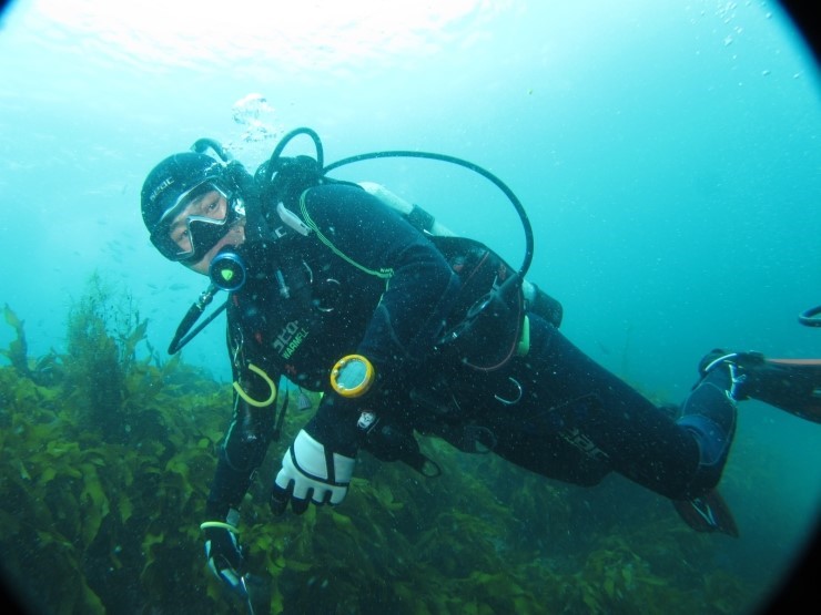 Fun Diving - Jeju island, South Korea - Moon Island