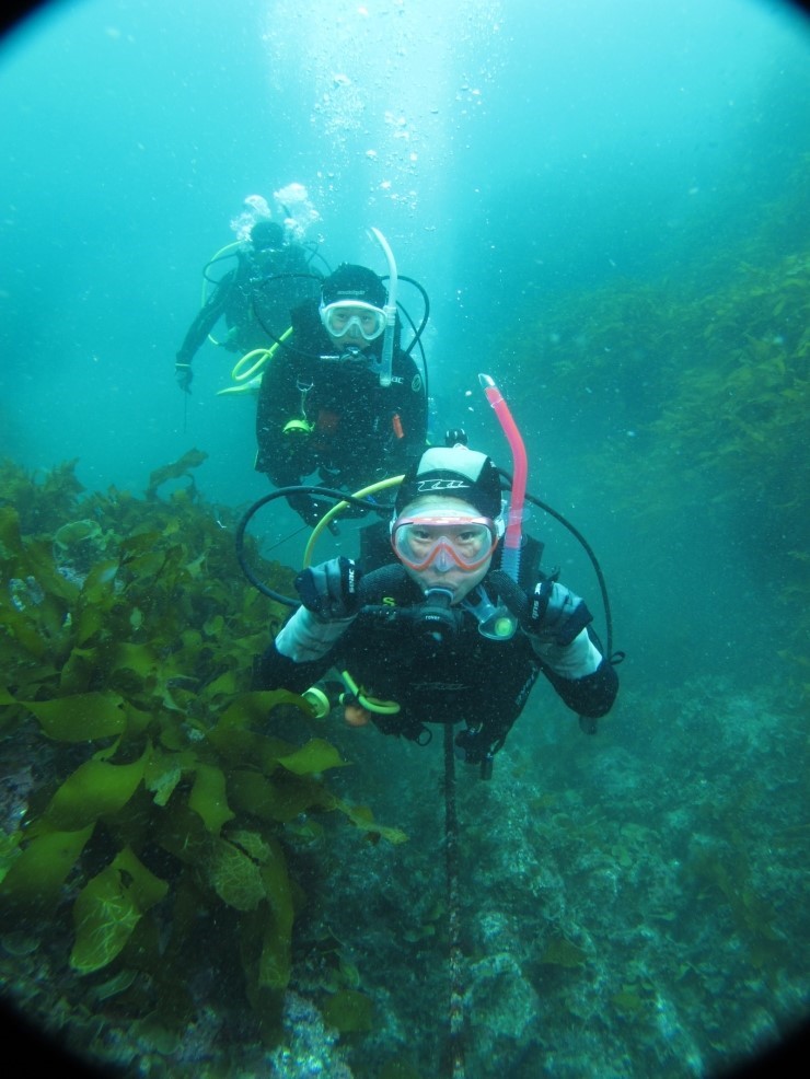 Fun Diving - Jeju island, South Korea - Moon Island