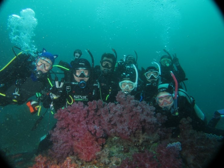 Fun Diving - Jeju island, South Korea - Moon Island