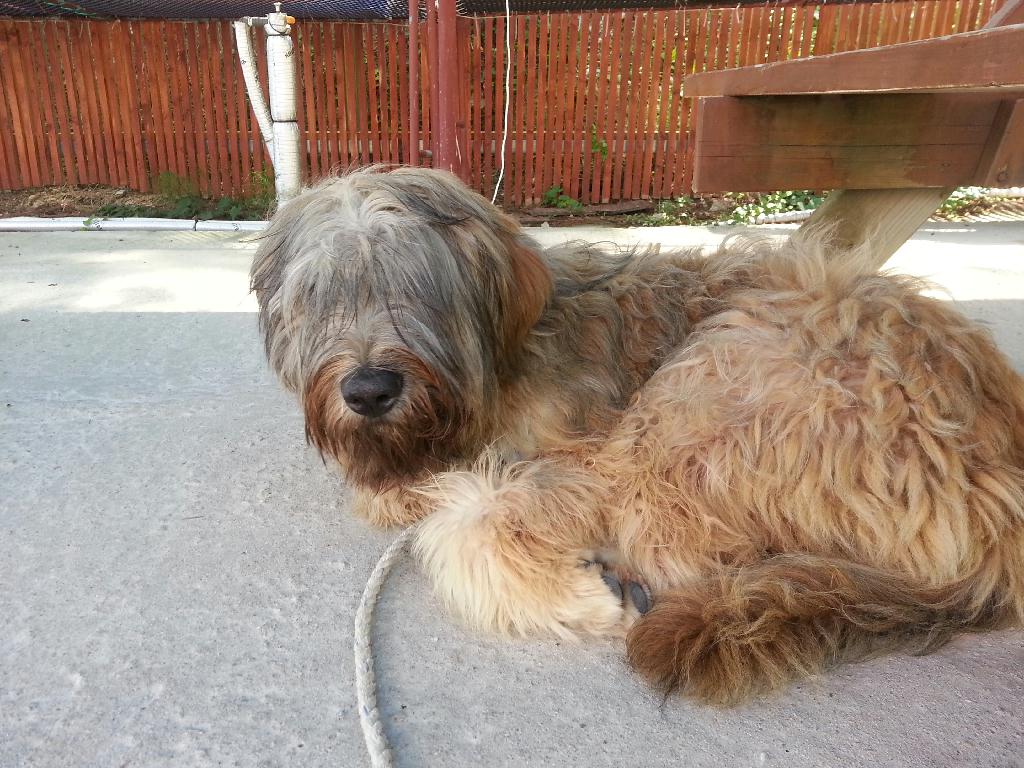 펀다이빙 - 경포다이브리조트 - 해중공원