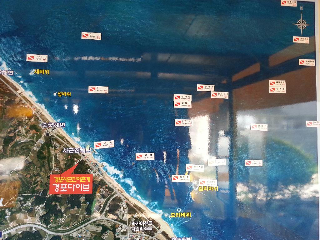 펀다이빙  - 경포다이브리조트 - 해중공원