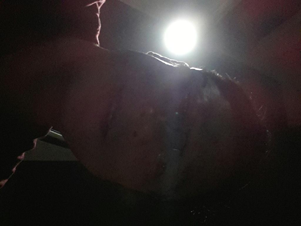 펀다이빙 - 경포다이브리조트 - 해중공원