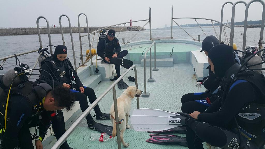 펀 - 사천다이브 - 실크로드