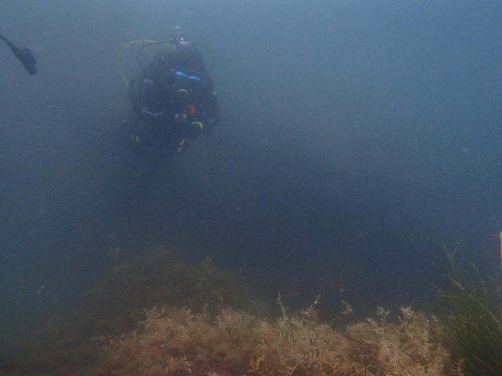 펀 - 사천다이브 - 인공어초 16