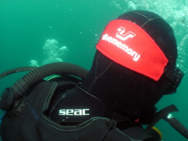 펀다이빙 - 강원도 양양 38마린리조트 - 모자반