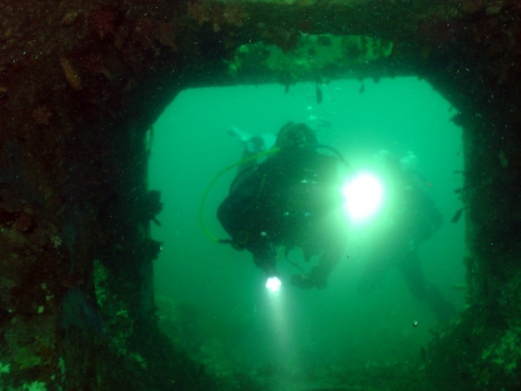 펀다이빙 - 강원도 양양 38마린리조트 - 모자반