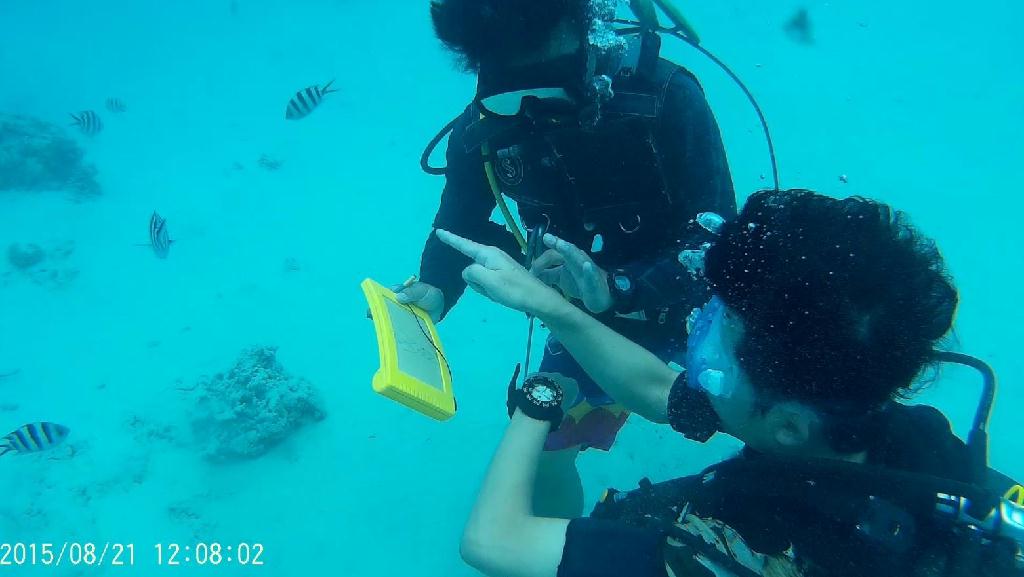 어벤스교육 - GUAM - Fish eye marine park