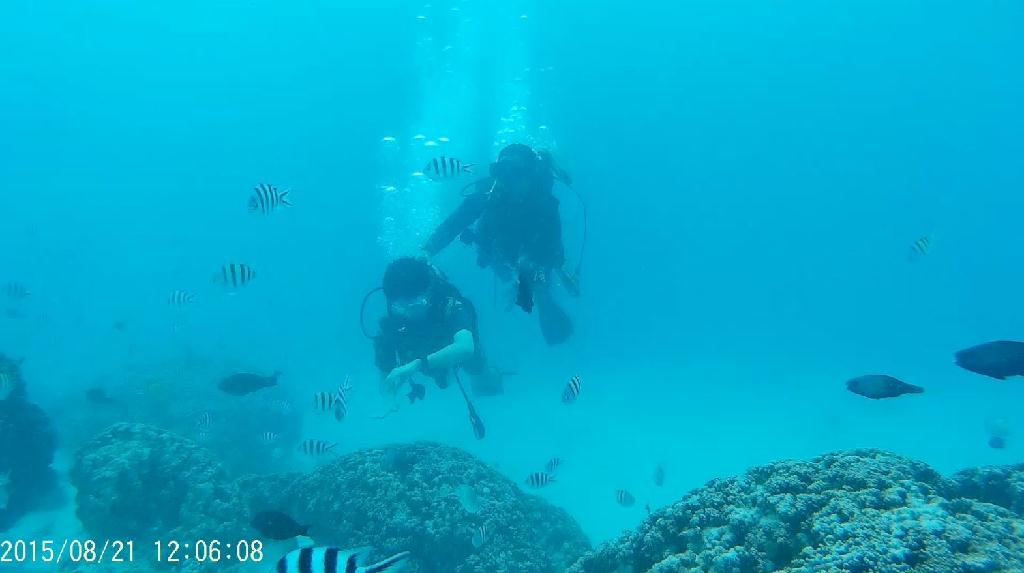 어벤스교육 - GUAM - Fish eye marine park