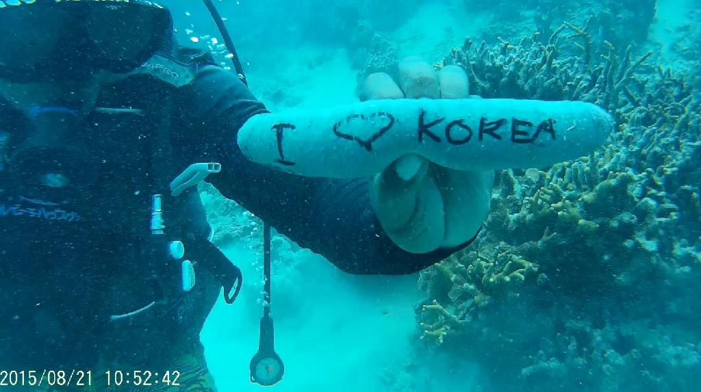 어드벤스과정 체크다이빙 - GUAM - Fish eye marine park