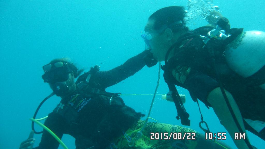 fun diving - GUAM - Fish eye marine park