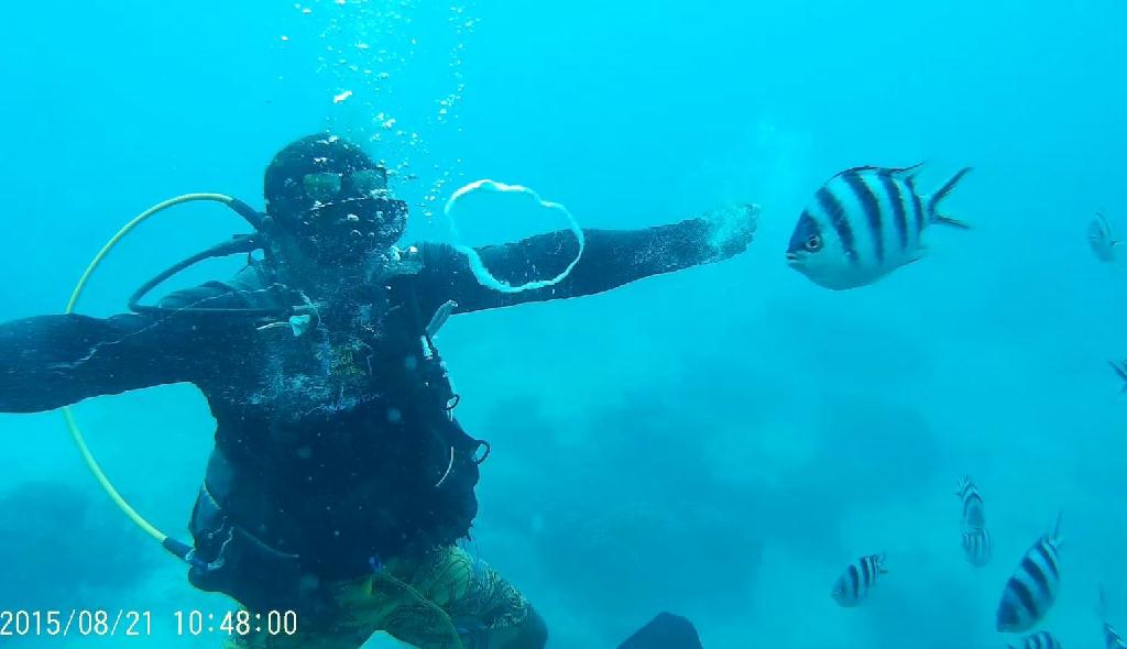 어드벤스과정 체크다이빙 - GUAM - Fish eye marine park