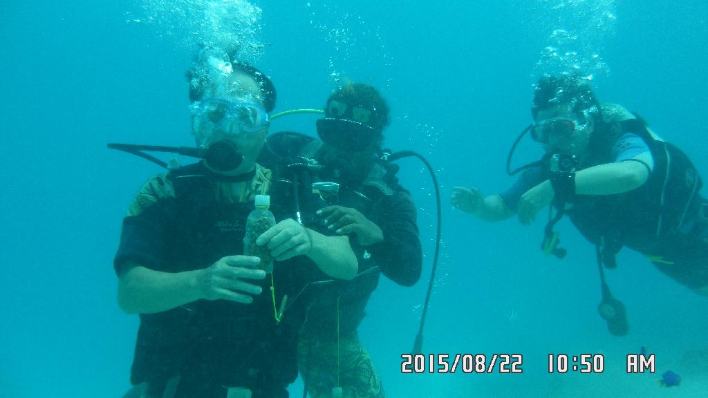 fun diving - GUAM - Fish eye marine park