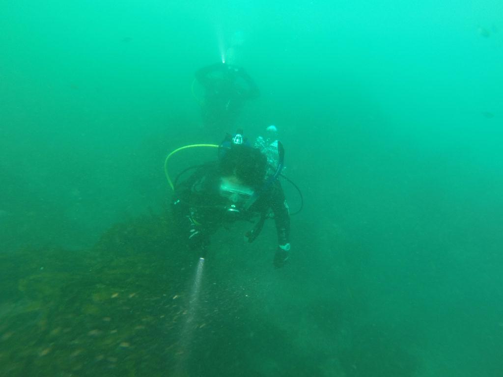 F/D - 제주 서귀포 에코다이버스 - 동부방파제