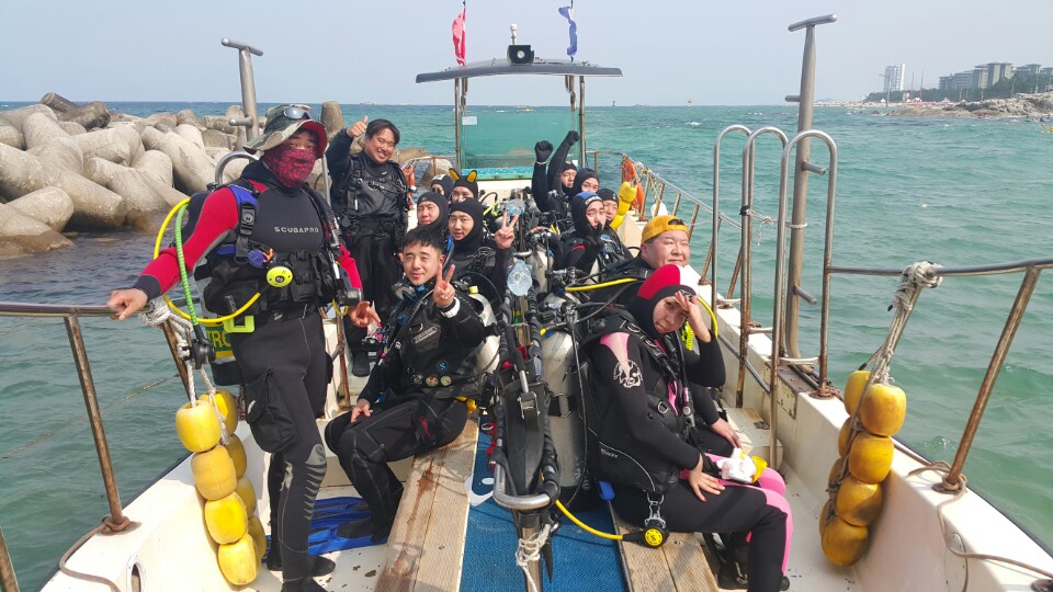 경포다이브 - 꽃동산