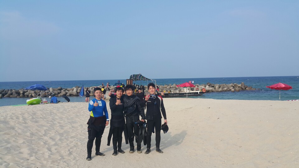 경포다이브 - 꽃동산