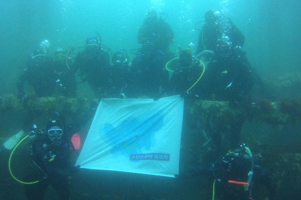 경포다이브 - 꽃동산