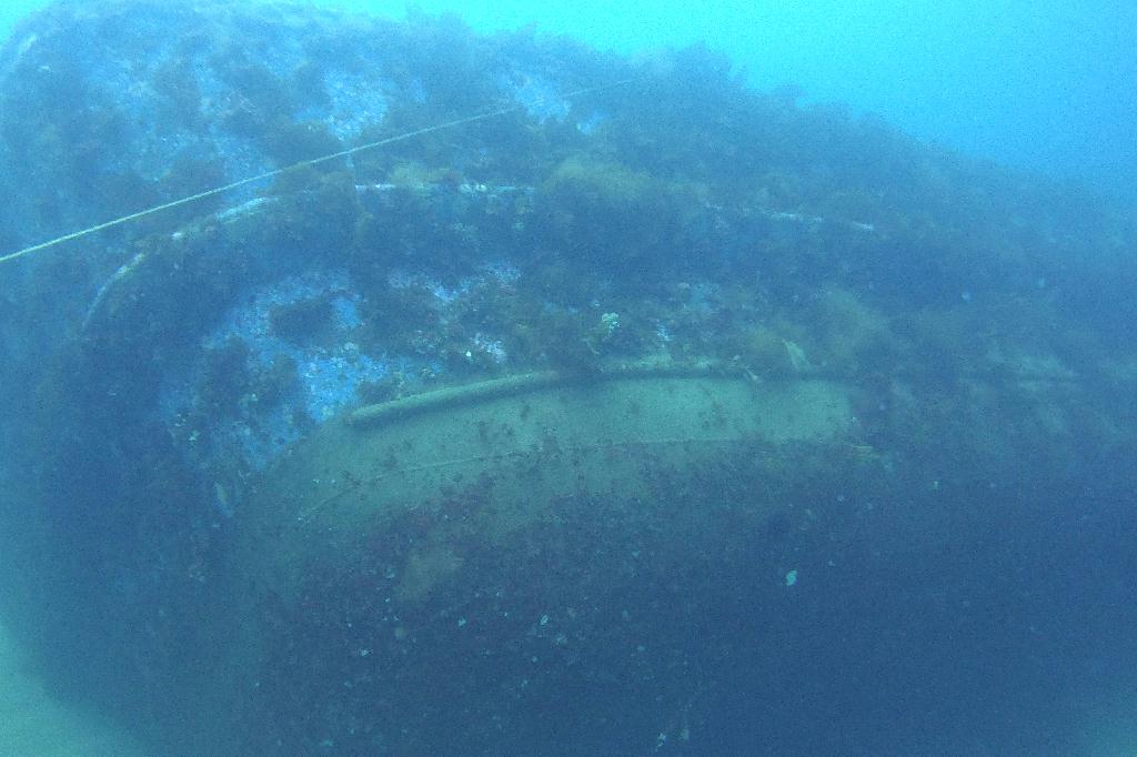 경포다이브 - 꽃동산