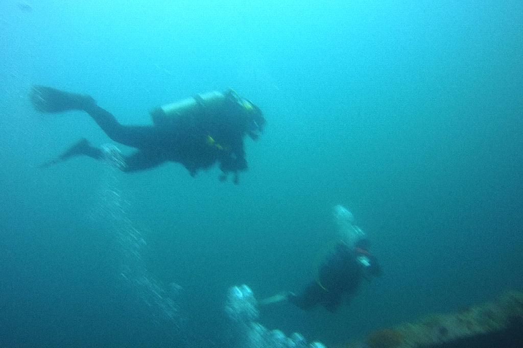 경포다이브 - 꽃동산