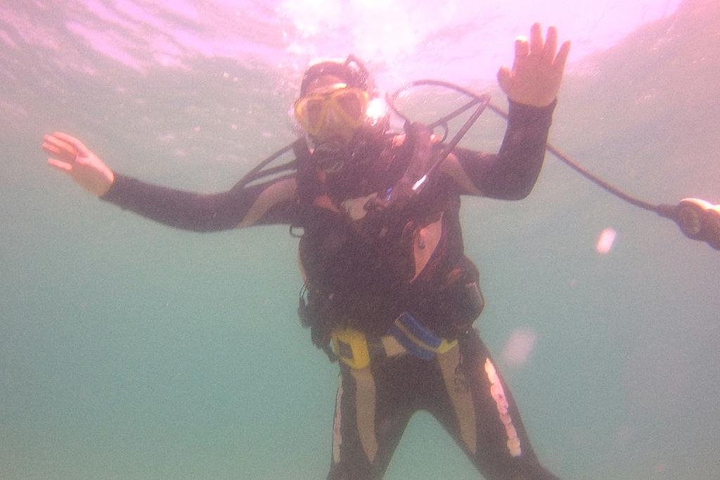 경포다이브 - 꽃동산