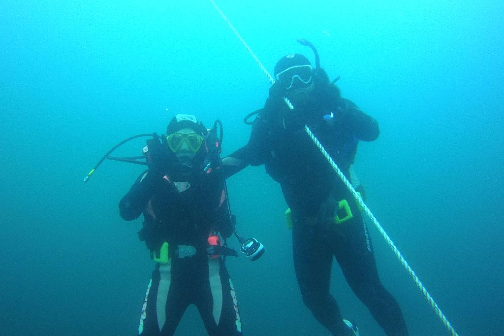 경포다이브 - 꽃동산