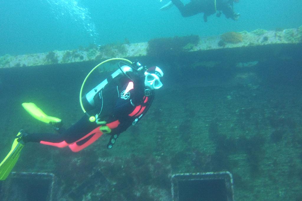 경포다이브 - 꽃동산