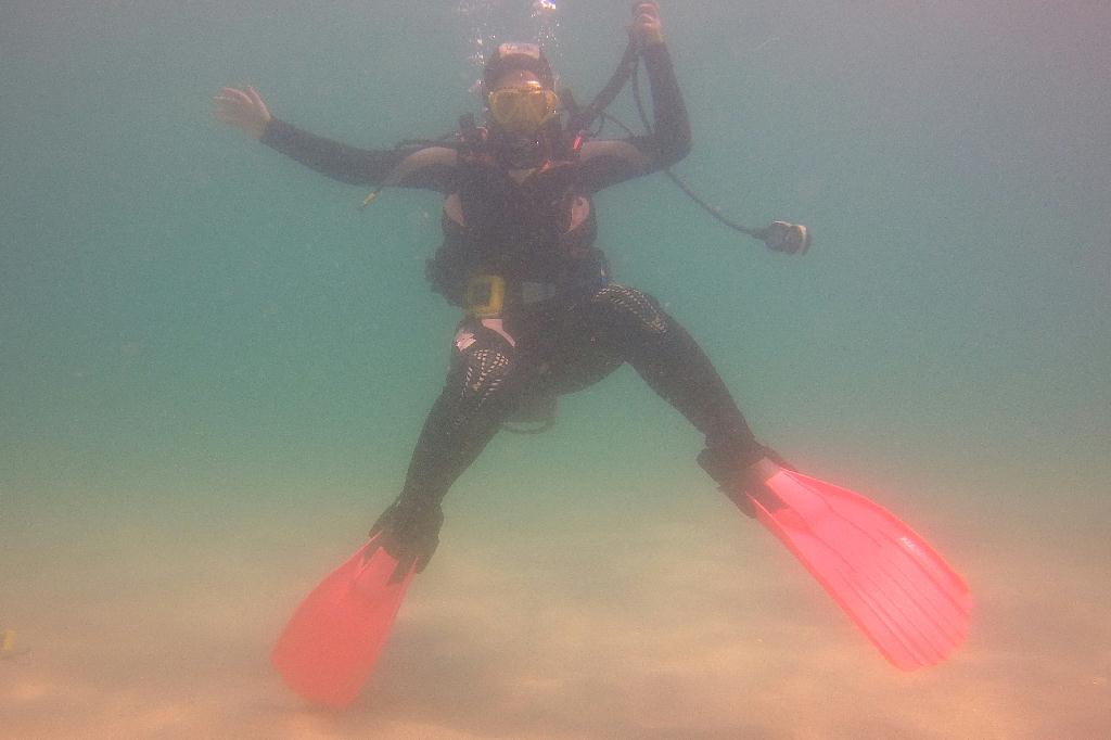 경포다이브 - 꽃동산