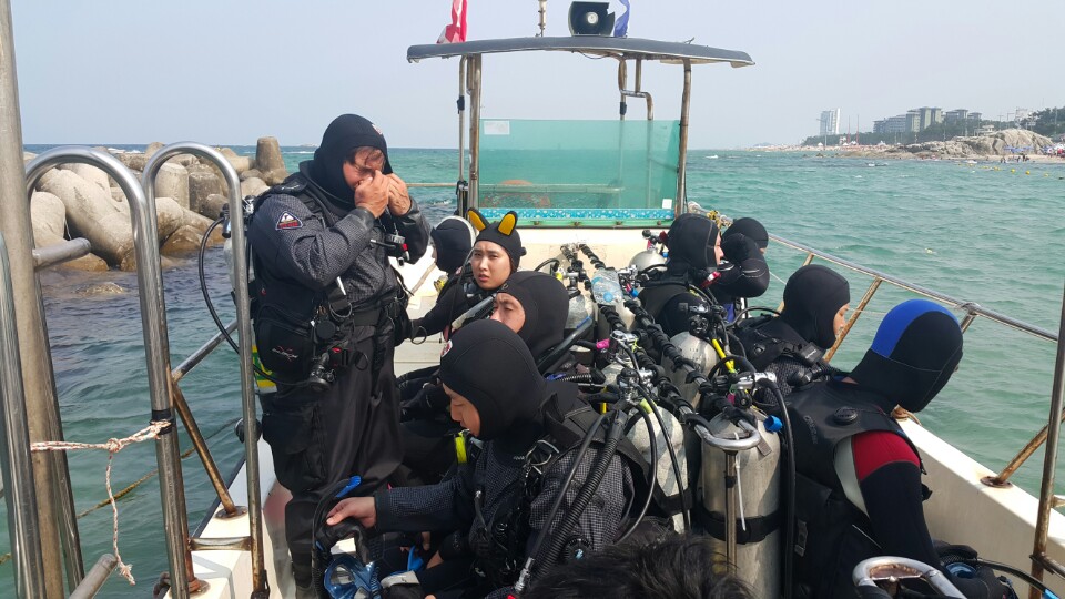 경포다이브 - 꽃동산