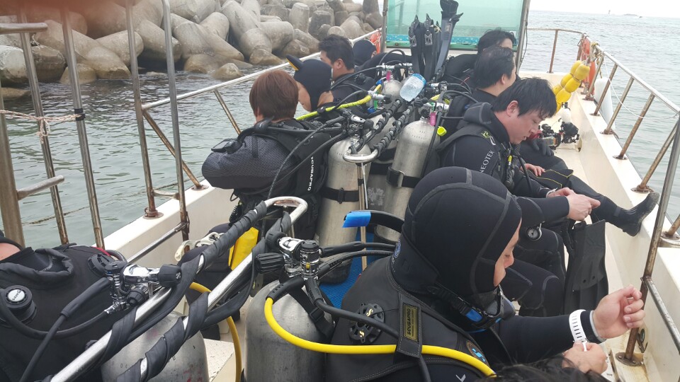 경포다이브 - 꽃동산