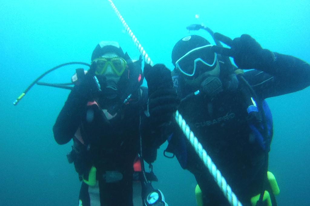 경포다이브 - 꽃동산