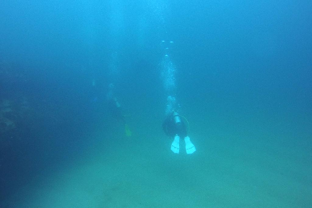 경포다이브 - 꽃동산