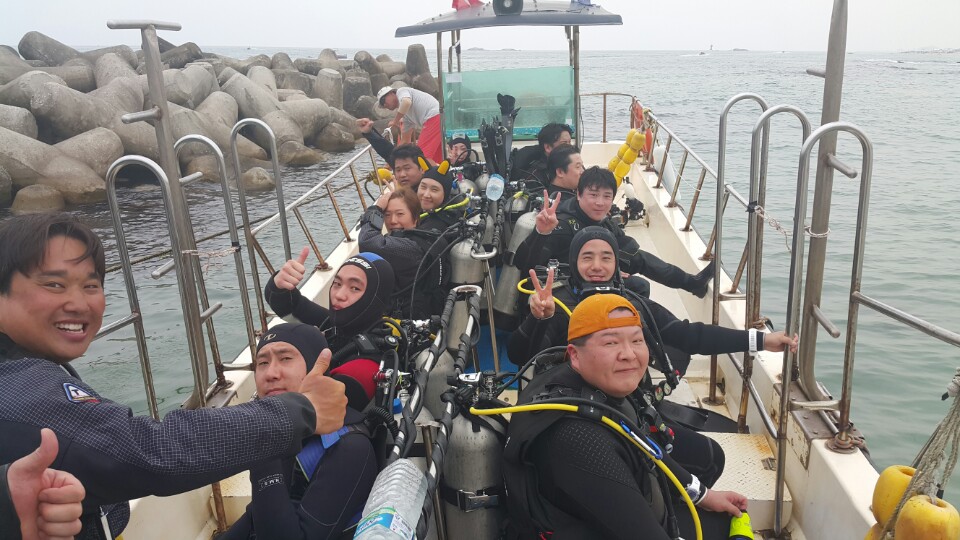 경포다이브 - 꽃동산