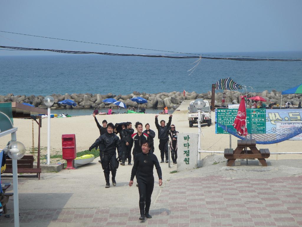 경포 다이브 - 자연짬