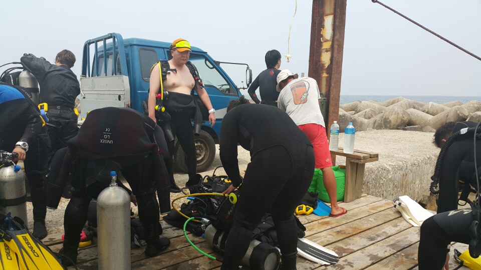 경포다이브 - 꽃동산