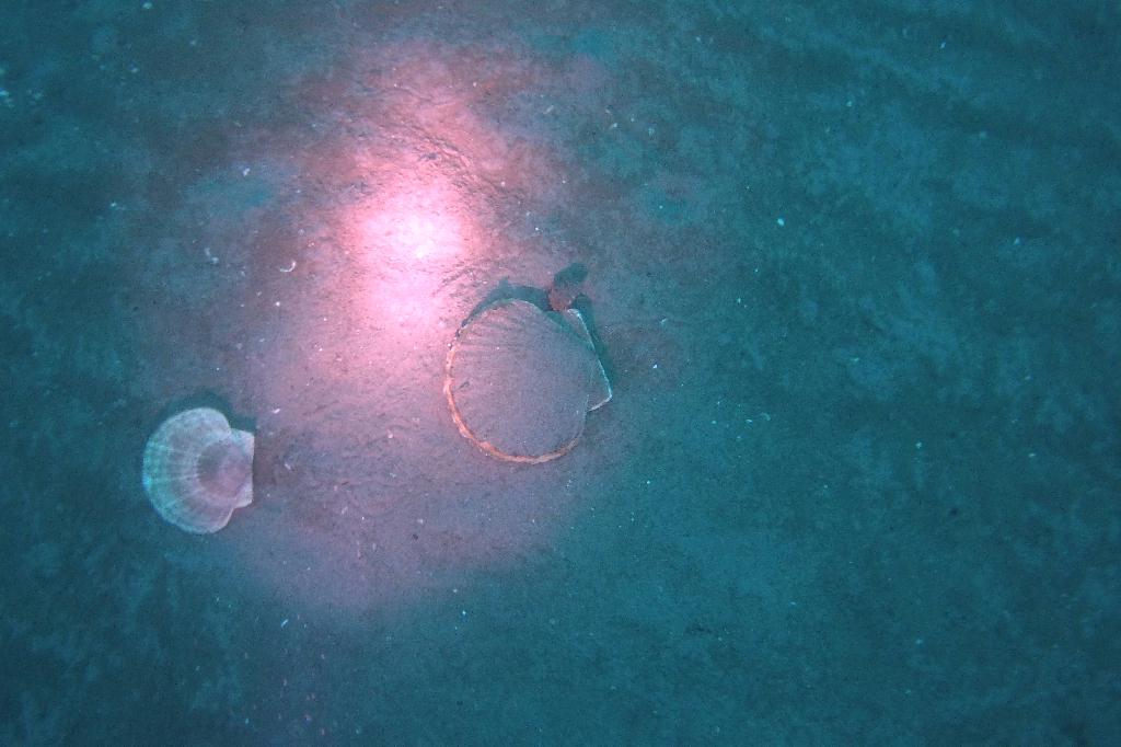 양양 38리조트 - ??