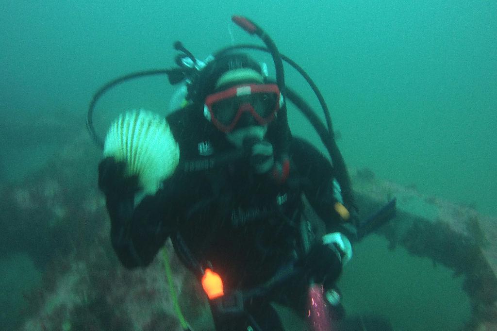 양양 38리조트 - ??