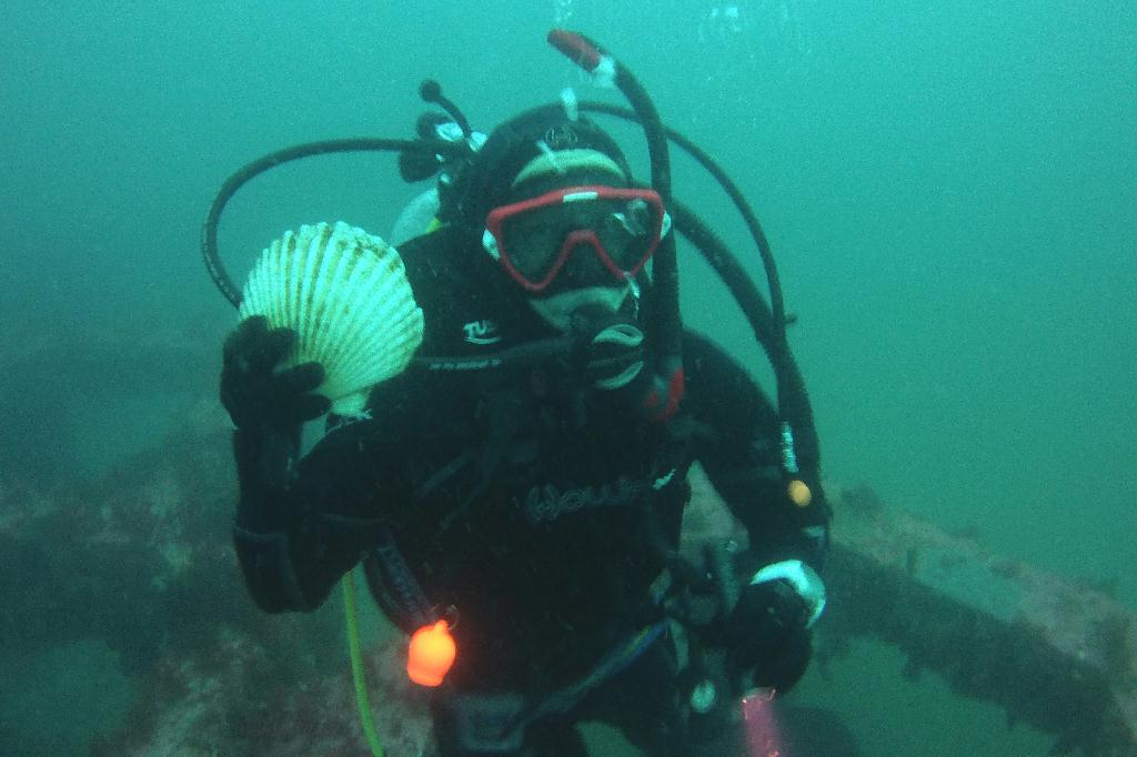 양양 38리조트 - ??