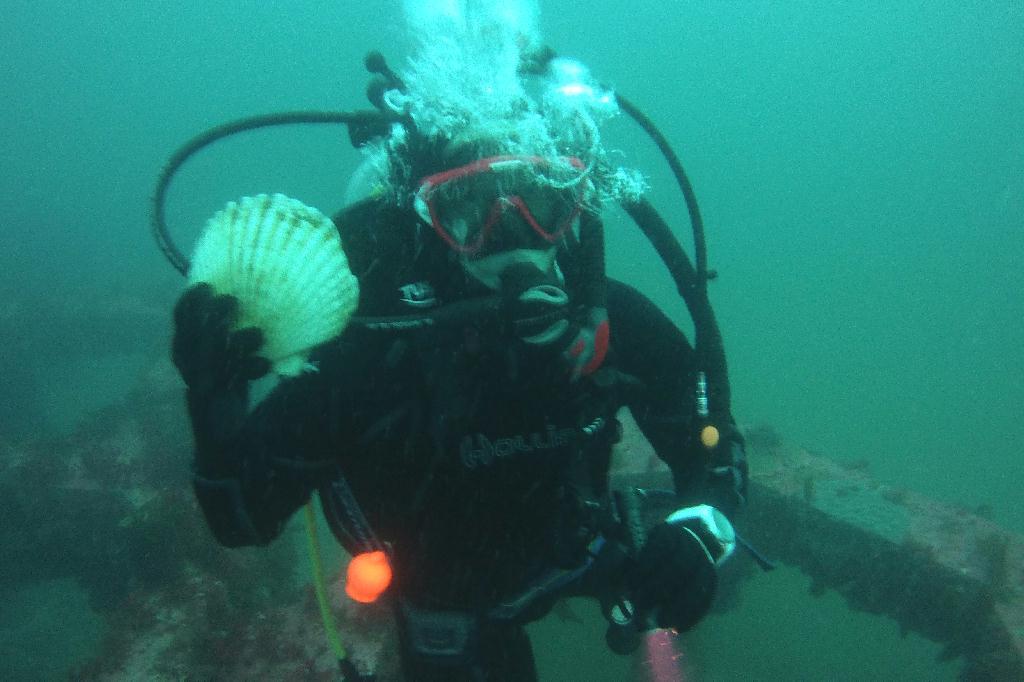 양양 38리조트 - ??