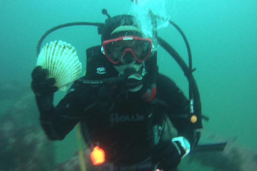 양양 38리조트 - ??