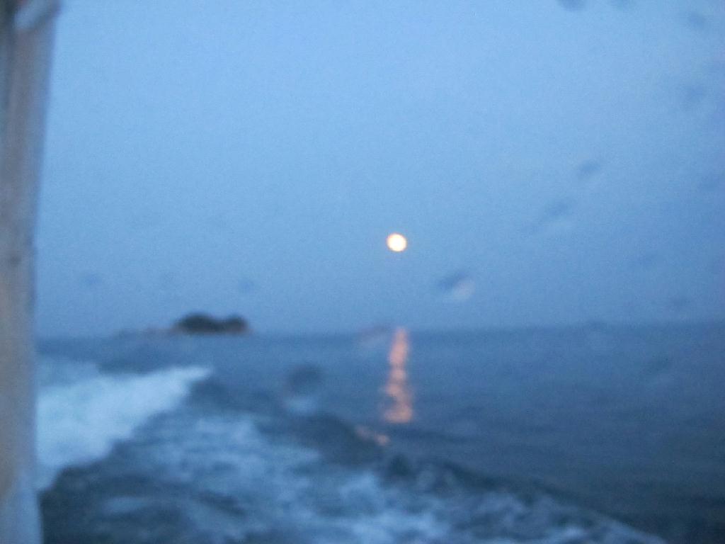 양양 38리조트 - 이글루 포인트